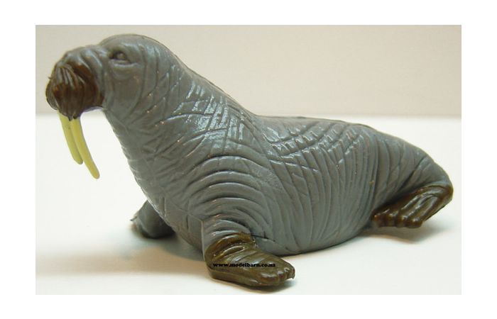 1/32 Walrus