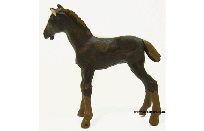 1/32 Foal (black)