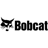 Bobcat