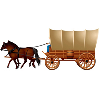 Horse Drawn Vehicles